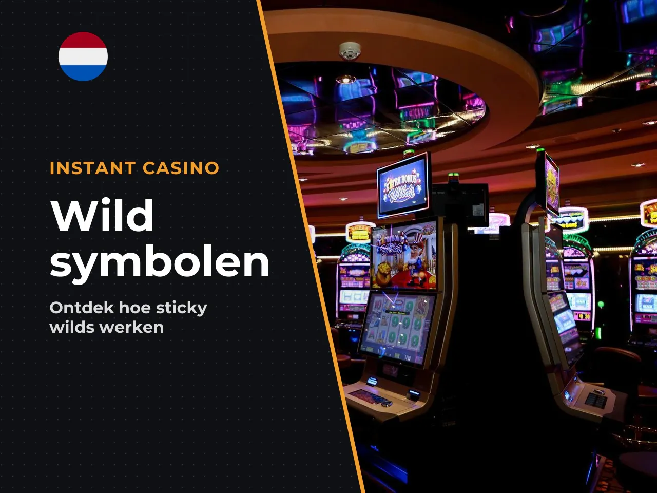 Hoe werken wild symbols en sticky